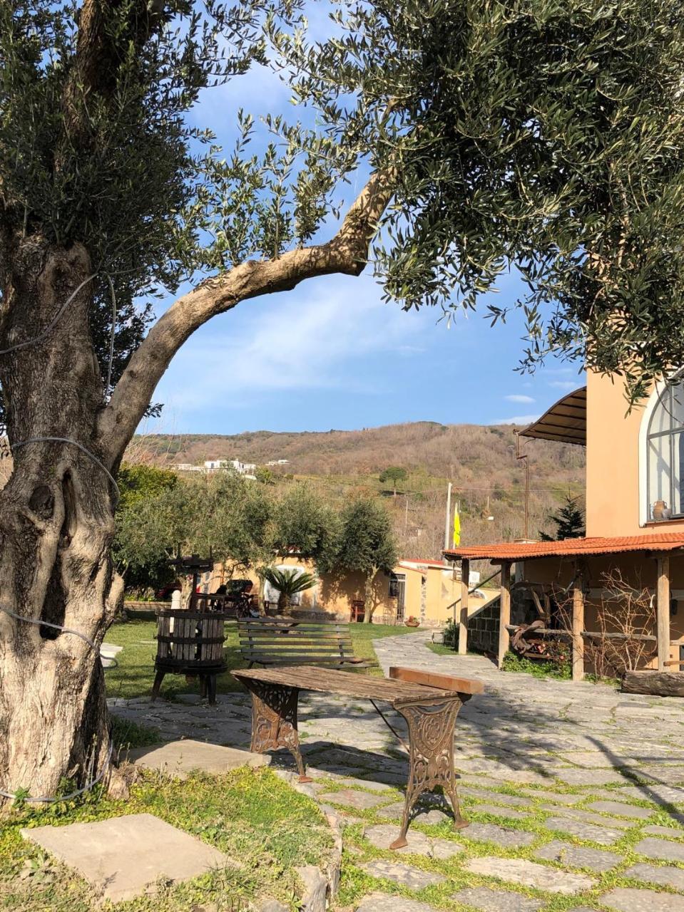 Domus Agricolae Corallina Torre del Greco Zewnętrze zdjęcie