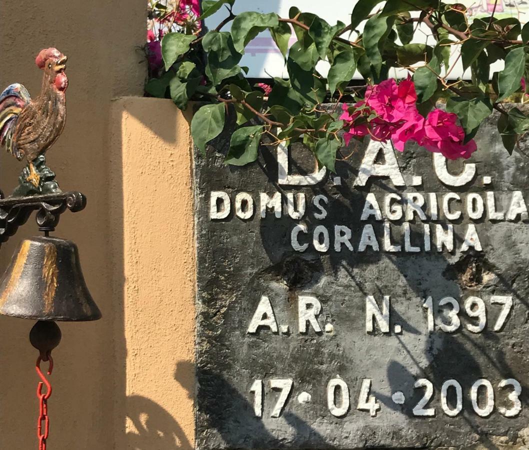Domus Agricolae Corallina Torre del Greco Zewnętrze zdjęcie