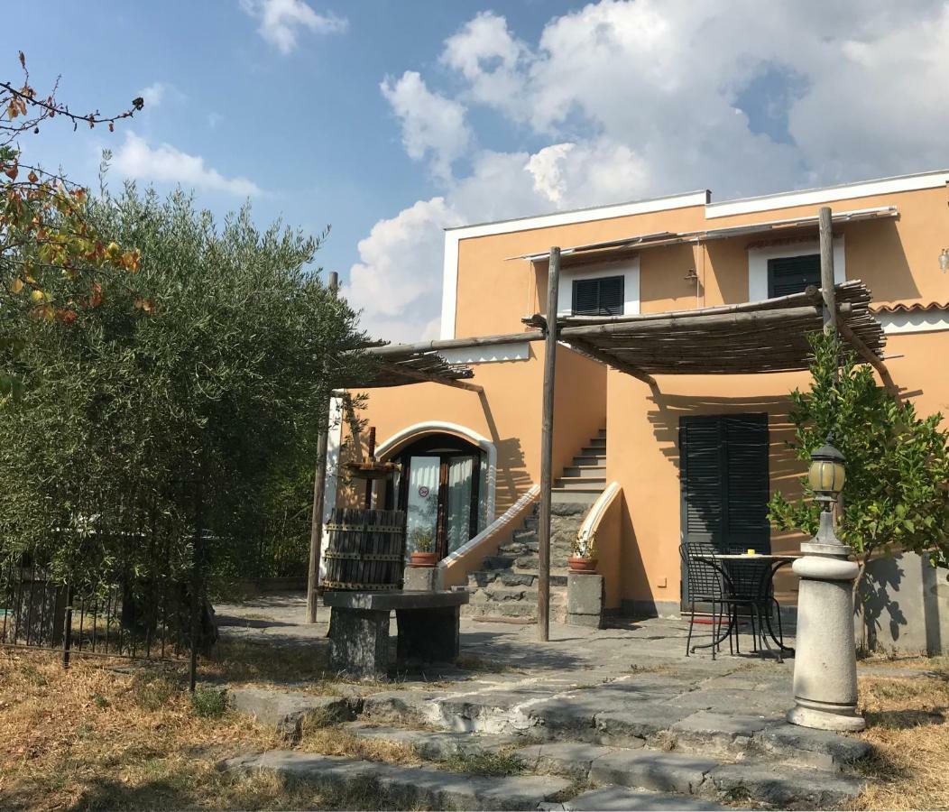 Domus Agricolae Corallina Torre del Greco Zewnętrze zdjęcie