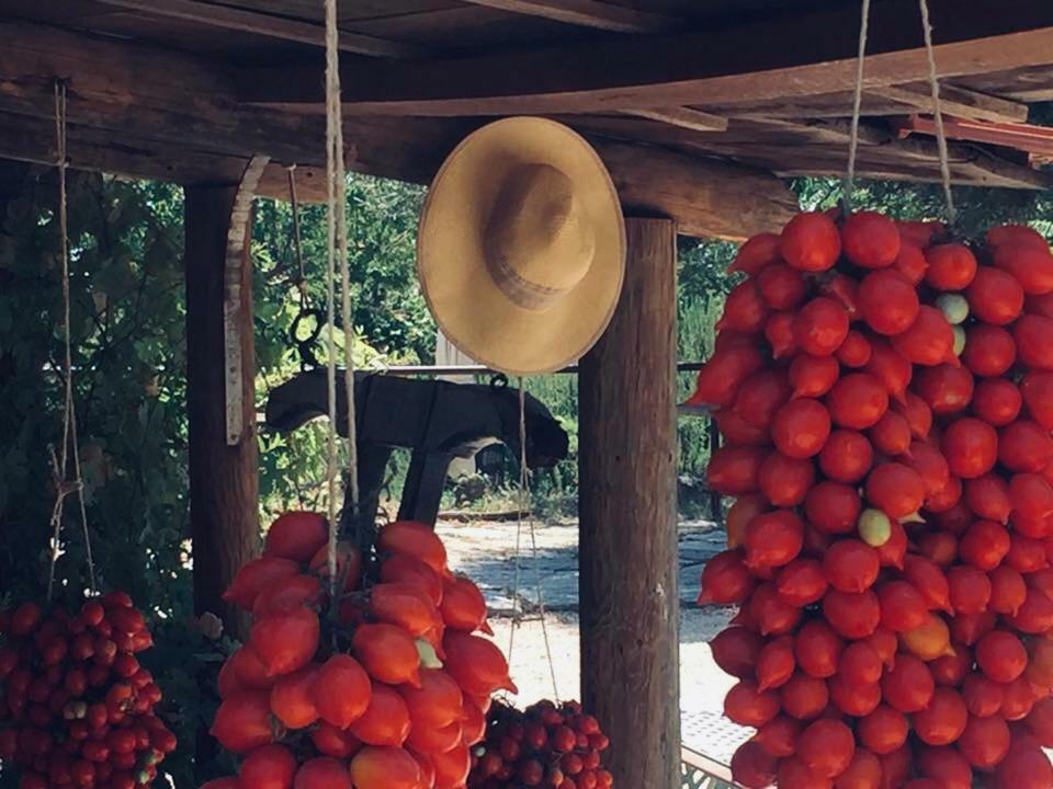 Domus Agricolae Corallina Torre del Greco Zewnętrze zdjęcie
